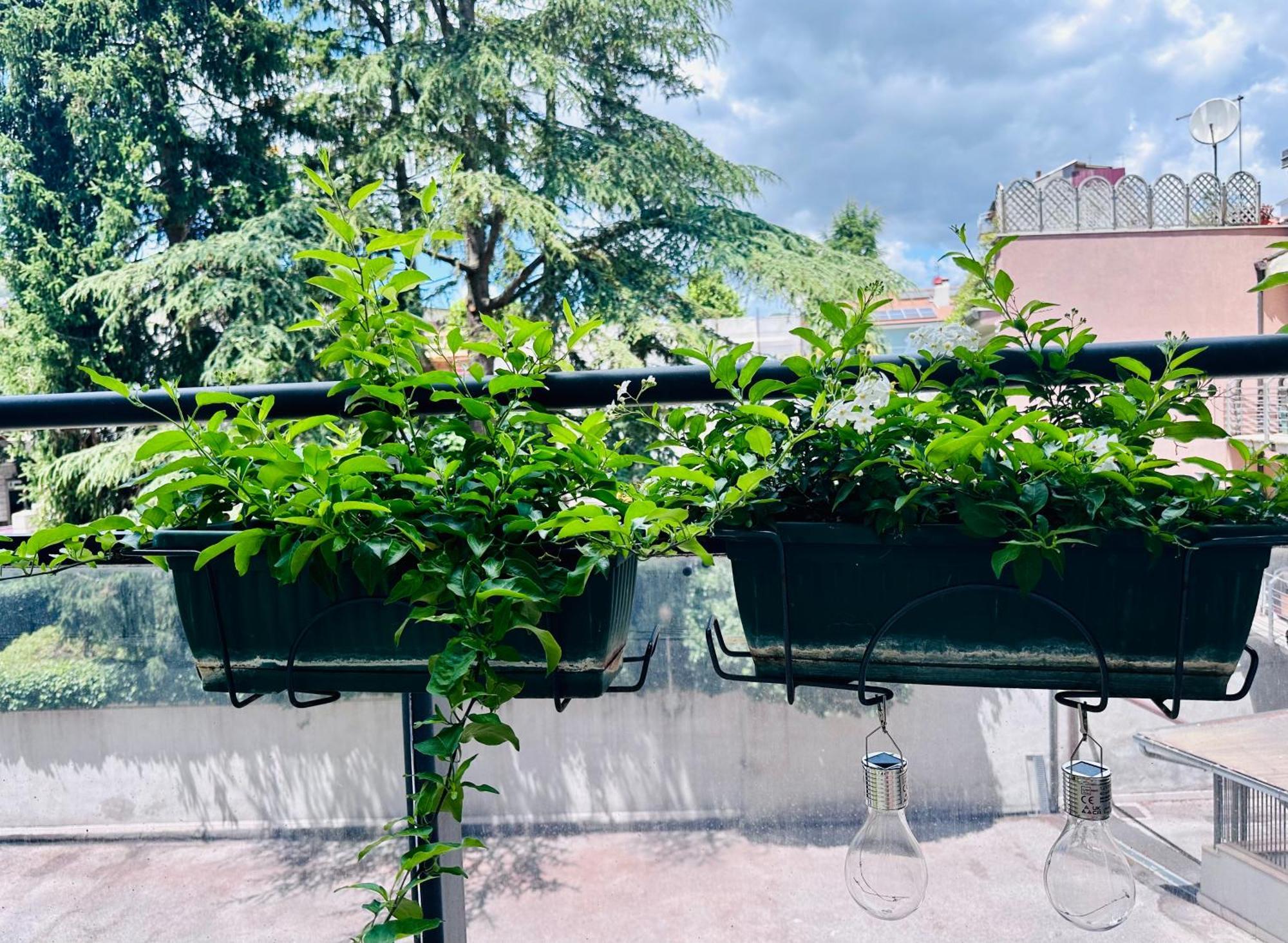 M Boutique Suite Avezzano Exterior foto